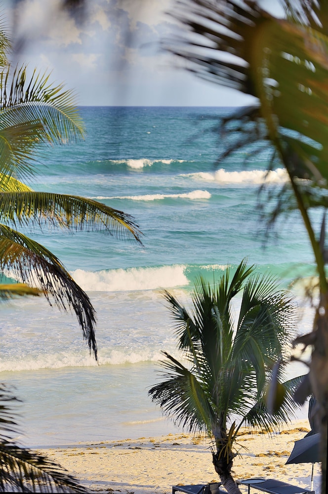 Beach/ocean view