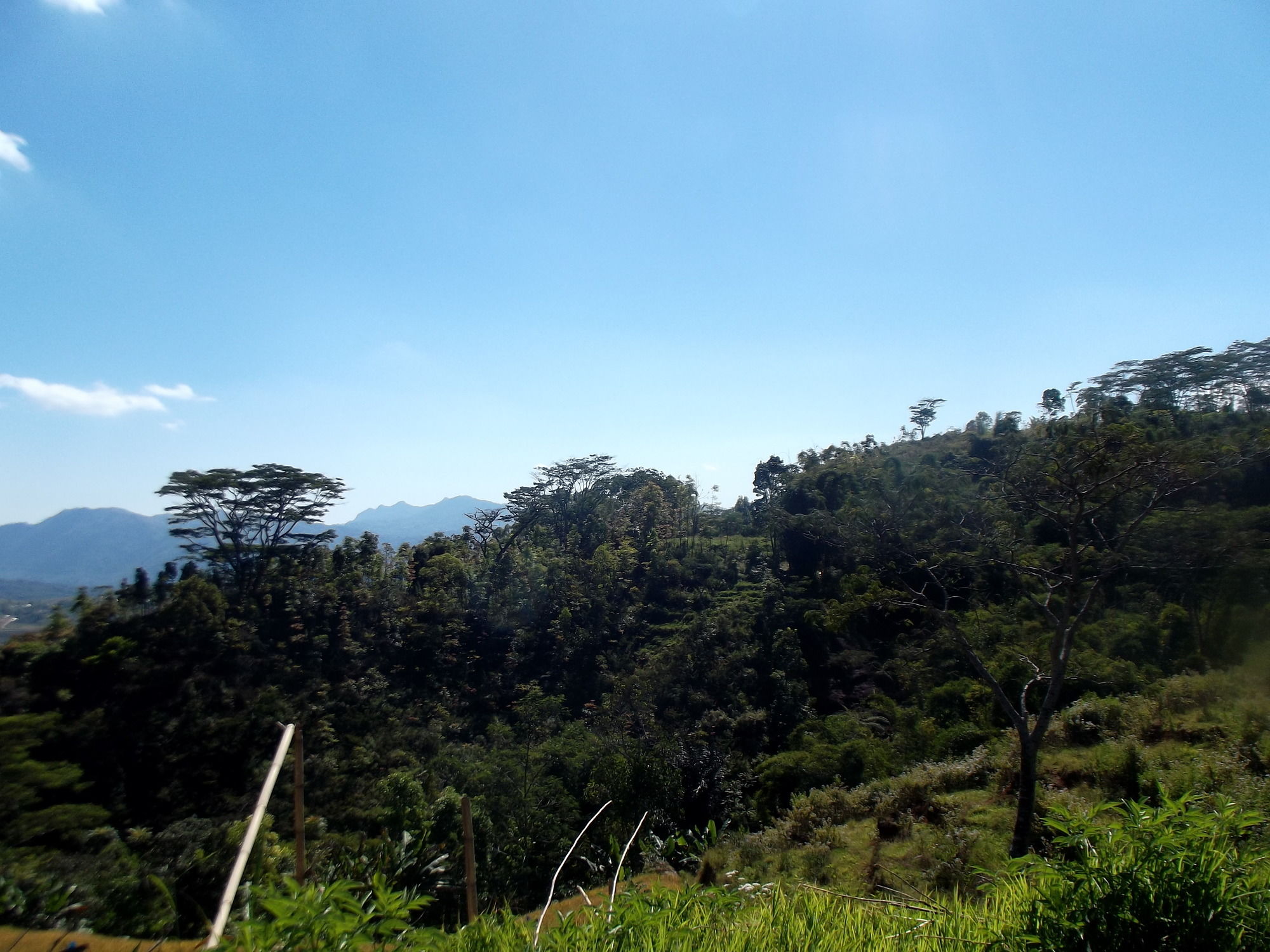 FX 72 Hotel Ruteng — Ruteng — photo 2