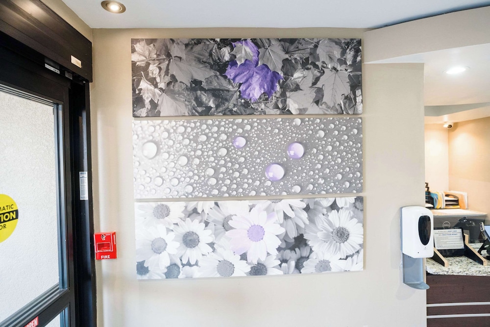 Sleep Inn & Suites Knoxville West - photo 5