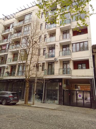 Picasso Apartment Kutaisi