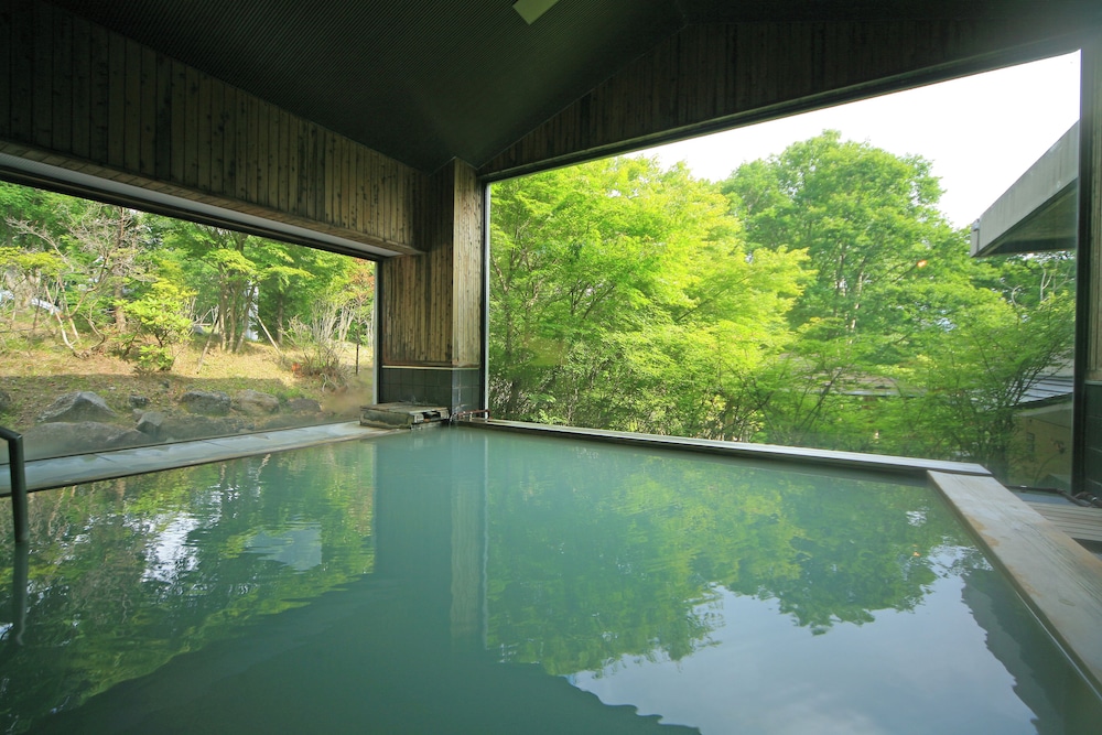 Okunikko Hotel Shikisai in Nikko, Japan