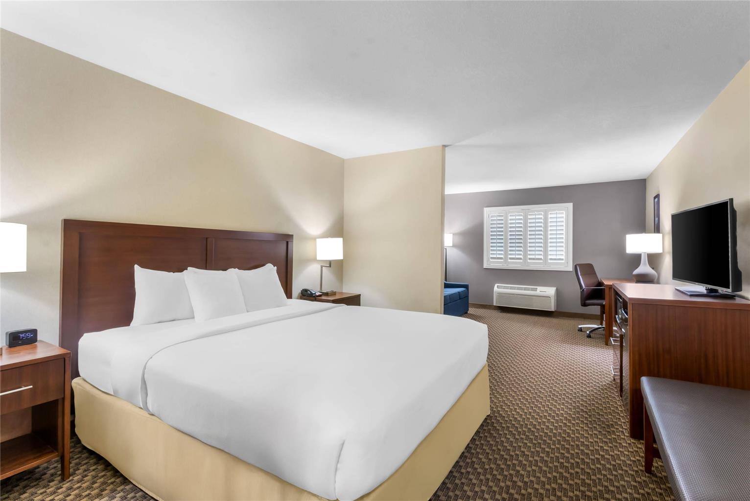 Comfort Inn & Suites Thatcher Safford - photo 25