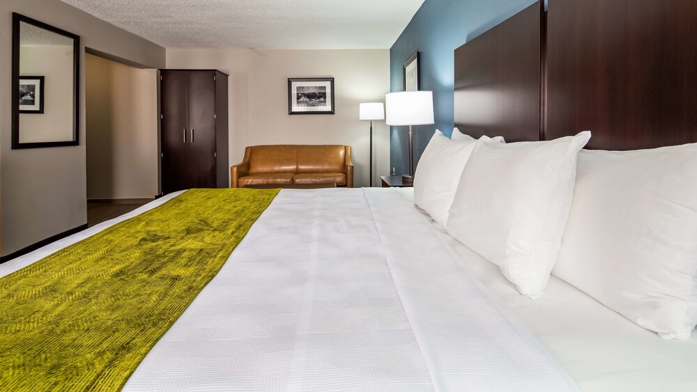 Best Western Rock Hill - photo 7