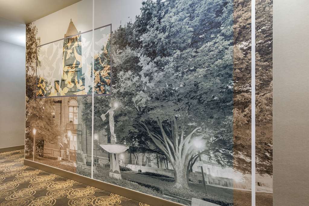 Cambria Hotel Rockville - photo 60