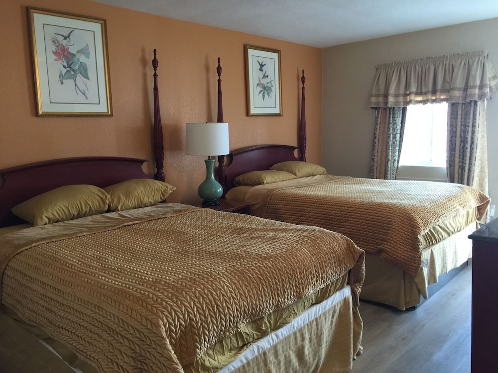 Pelican Inn and Suites - photo 8