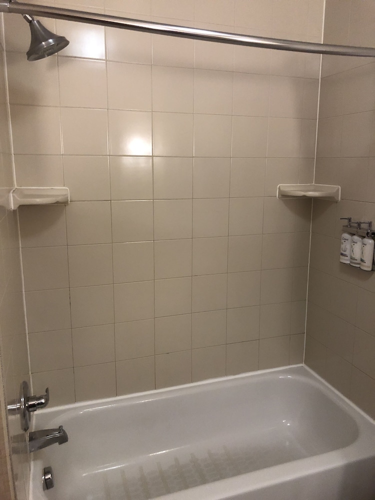 Holiday Inn Express Hotel & Suites Lansing Dimondale by IHG - photo 40