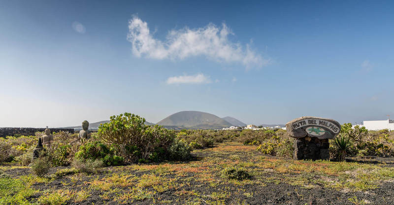 Finca Tomaren — San Bartolome — photo 3