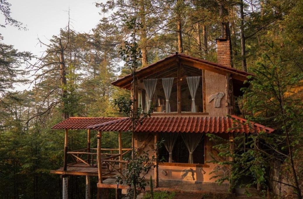 Cedro B - carbon neutral hotel in Unknown City