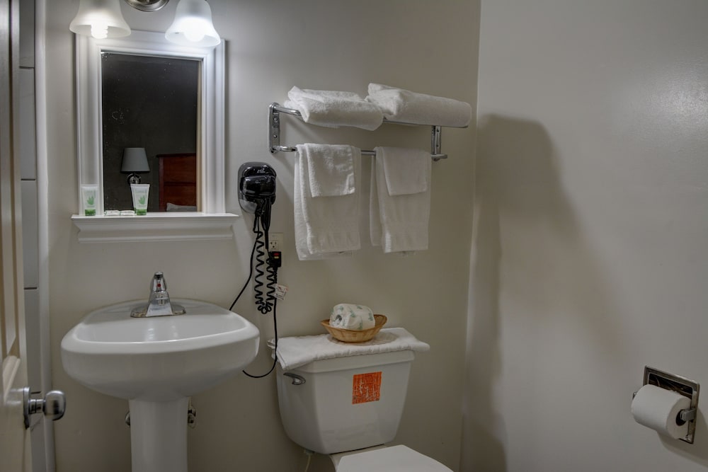 Palms Motel - photo 14