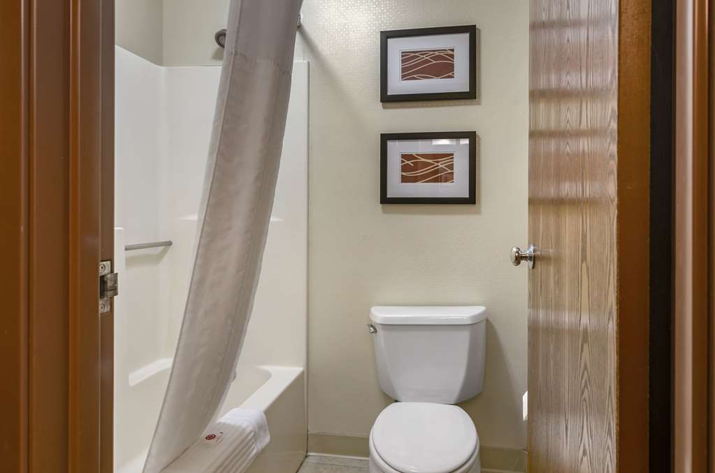 Comfort Inn Bozeman near University - photo 17