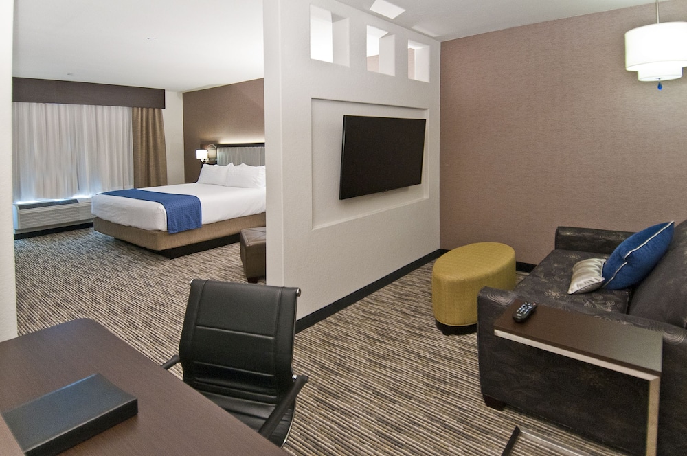 Holiday Inn Austin Airport by IHG - photo 4