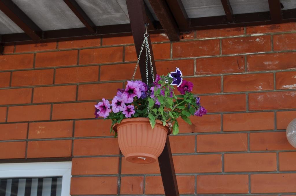 Domashniy Uyut - carbon neutral hotel in Golubitskaya