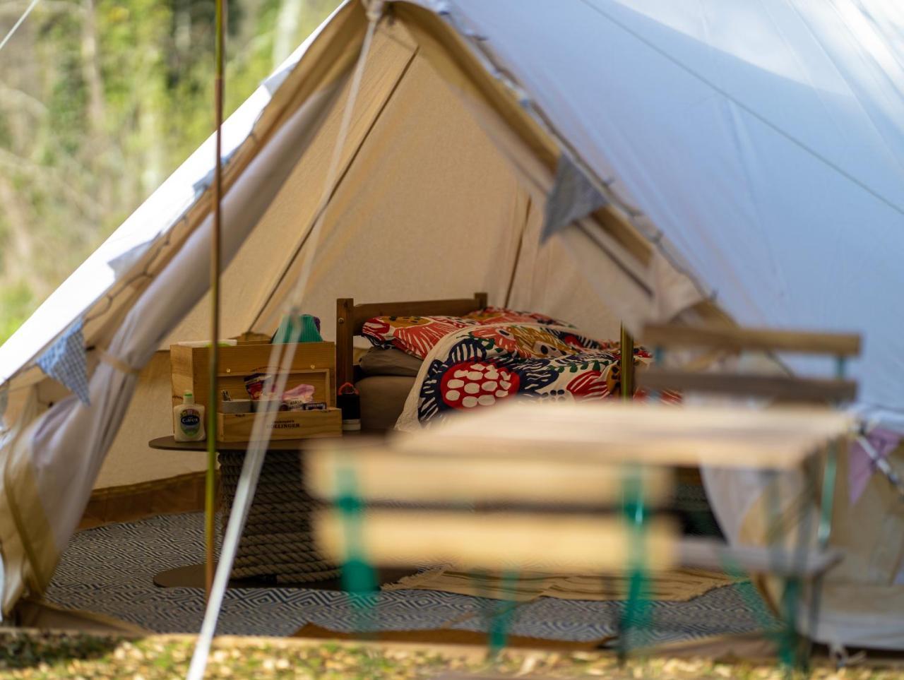 Naturally Glamping - carbon neutral hotel in Kingsteignton