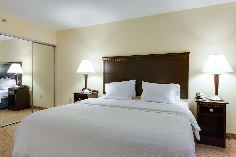 Hampton Inn & Suites Mt. Juliet - photo 22
