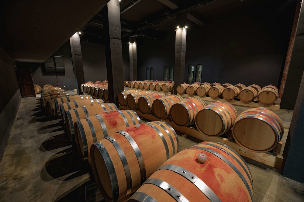 מזון ומשקאות