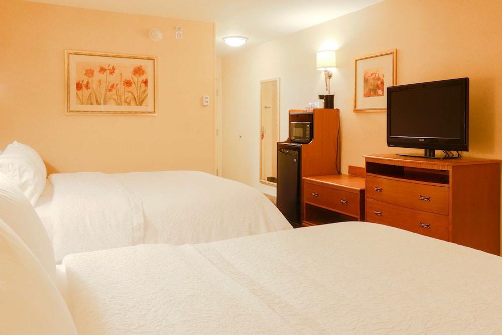 Hampton Inn & Suites by Hilton Tomball Houston NW - photo 6