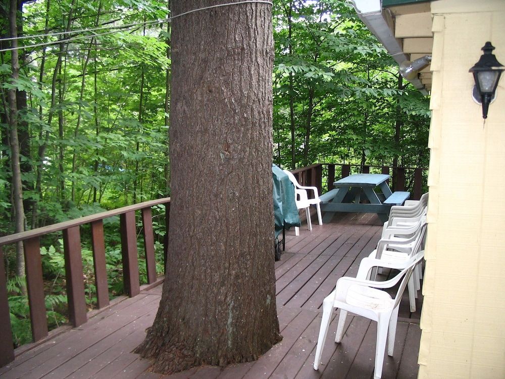 Sun Valley Cottages - photo 8