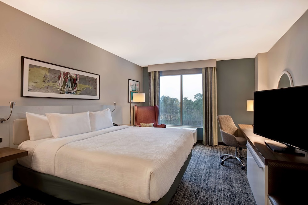 Hilton Garden Inn Summerville - photo 16
