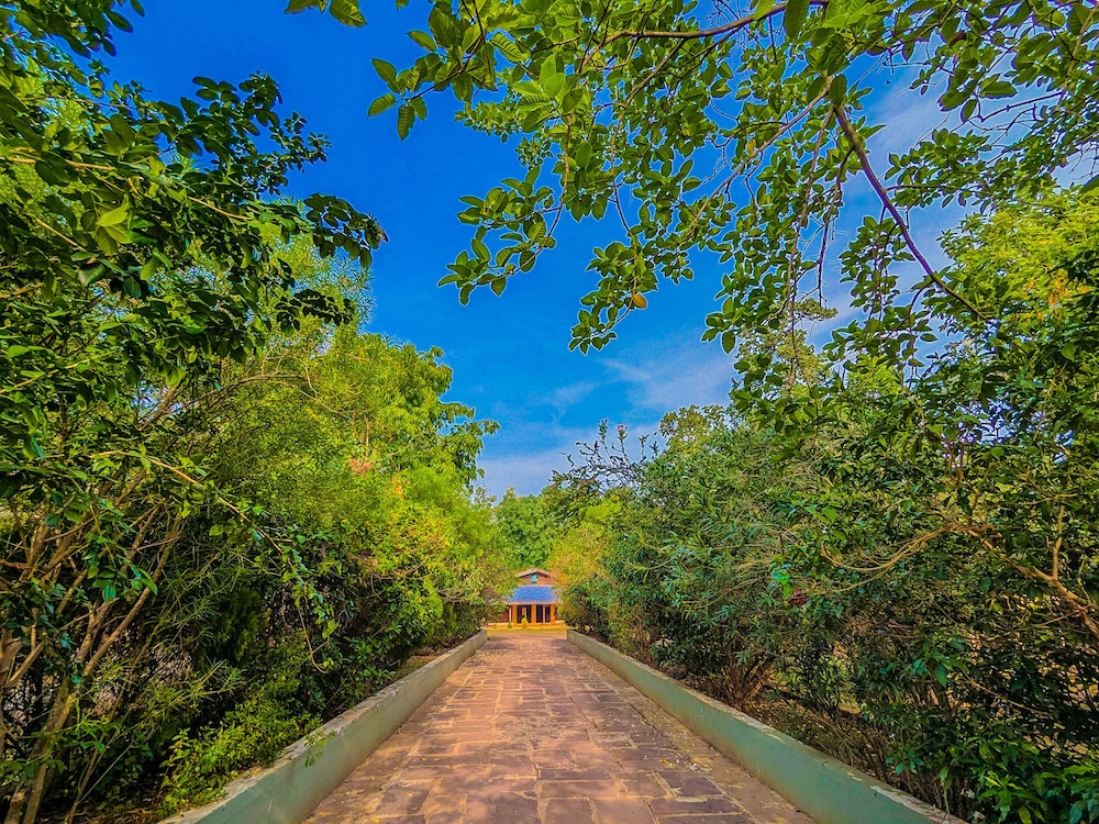 Syna Jungle Resort Shahdar in Murwara, India