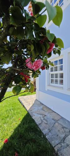Ericeira Oceonview Villa with Pool and Whirlpool — 4-Star Luxury Hotel in Ericeira, Portugal
