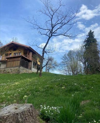 Il nocciòlo di Daisy — 4-Star Luxury Hotel in Graglia, Italy