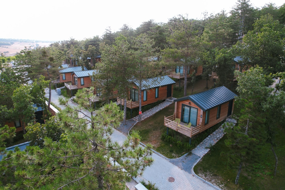 Nefes Dağyenice Doğada in Bursa, Turkey