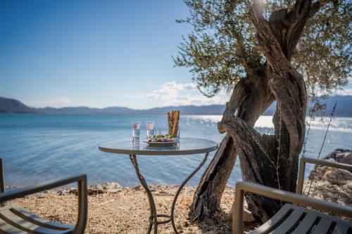 Traditional Stone House in Seafront Olive Grove a — 4-Star Luxury Hotel in Mytilene, Greece