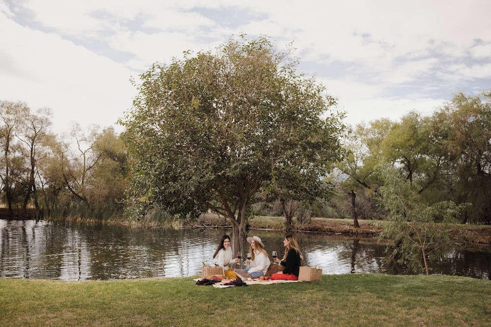 BBQ/picnic area