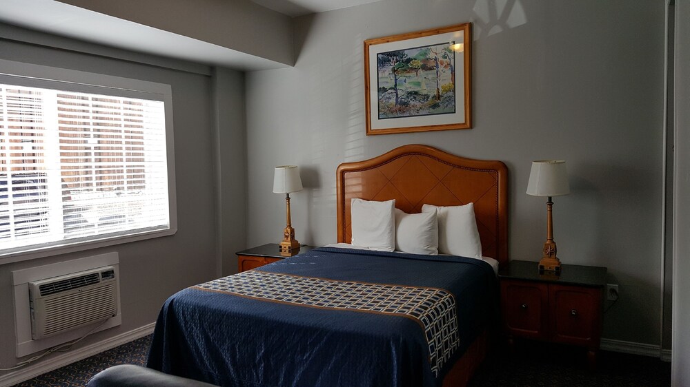 Lake Ridge Hotel - photo 21