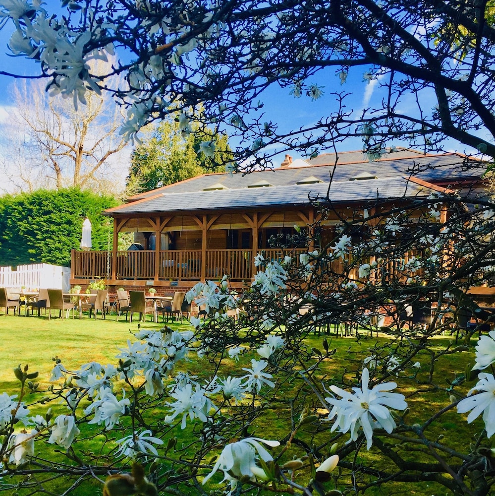 Spot In The Woods in Southampton, United Kingdom