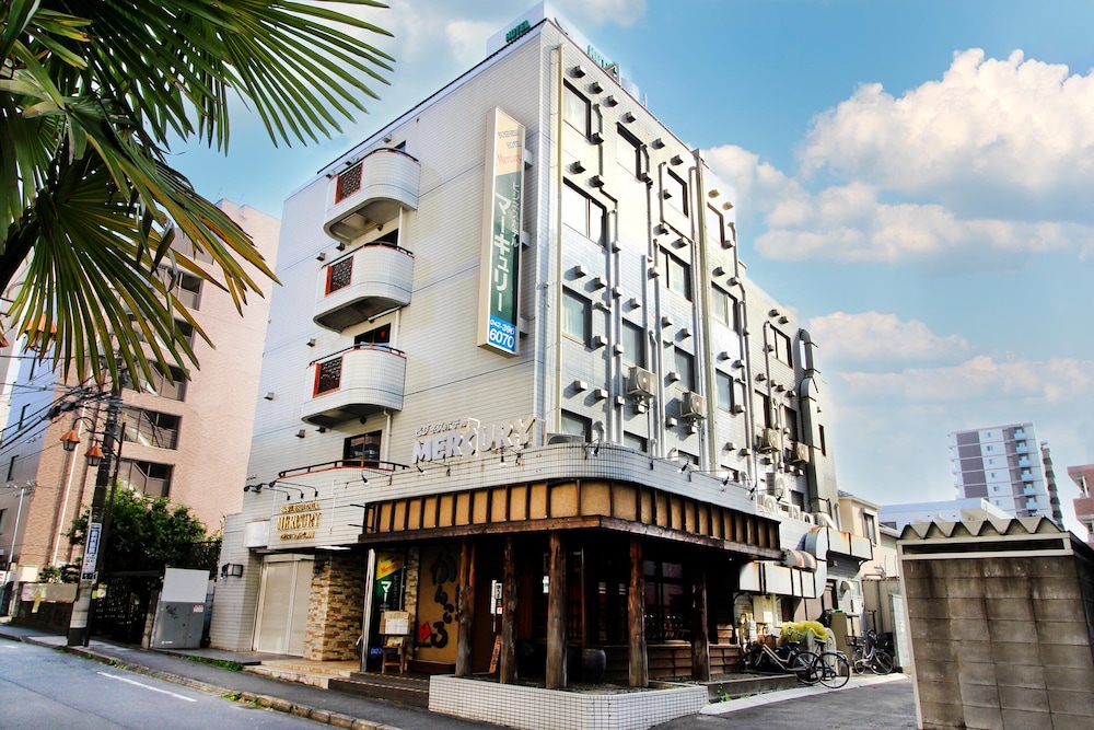 Business Hotel Mercury Royal Inn Group — Higashimurayama