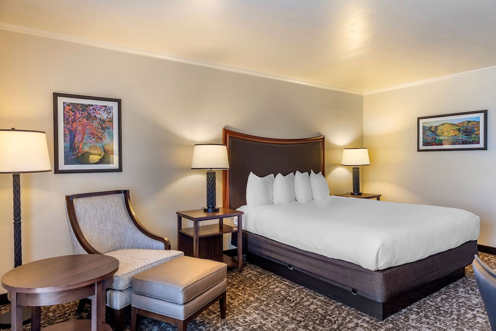 Best Western Plus Royal Oak Hotel - photo 5