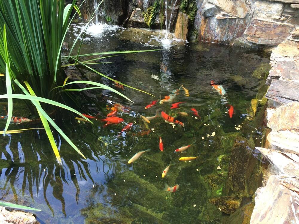 Barretta Gardens Inn - photo 51