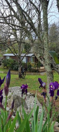 Les Chalets de Labeaume — Labegude — photo 3