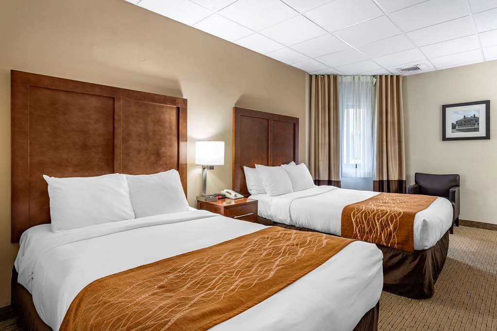 Comfort Inn Syosset Long Island - photo 5