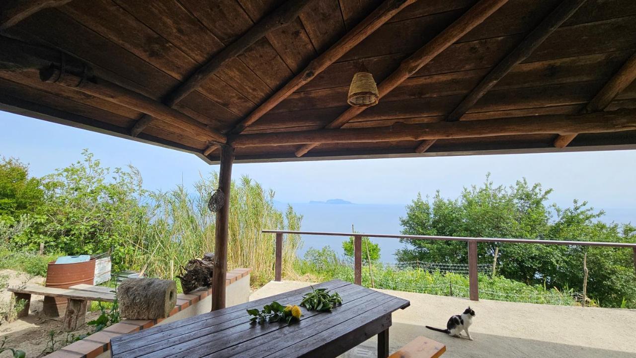 Climb to Paradise Ischia solo per amanti del trekking in Ischia, Italy