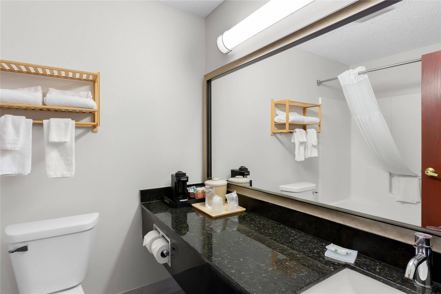 Quality Inn & Suites Niles - photo 28