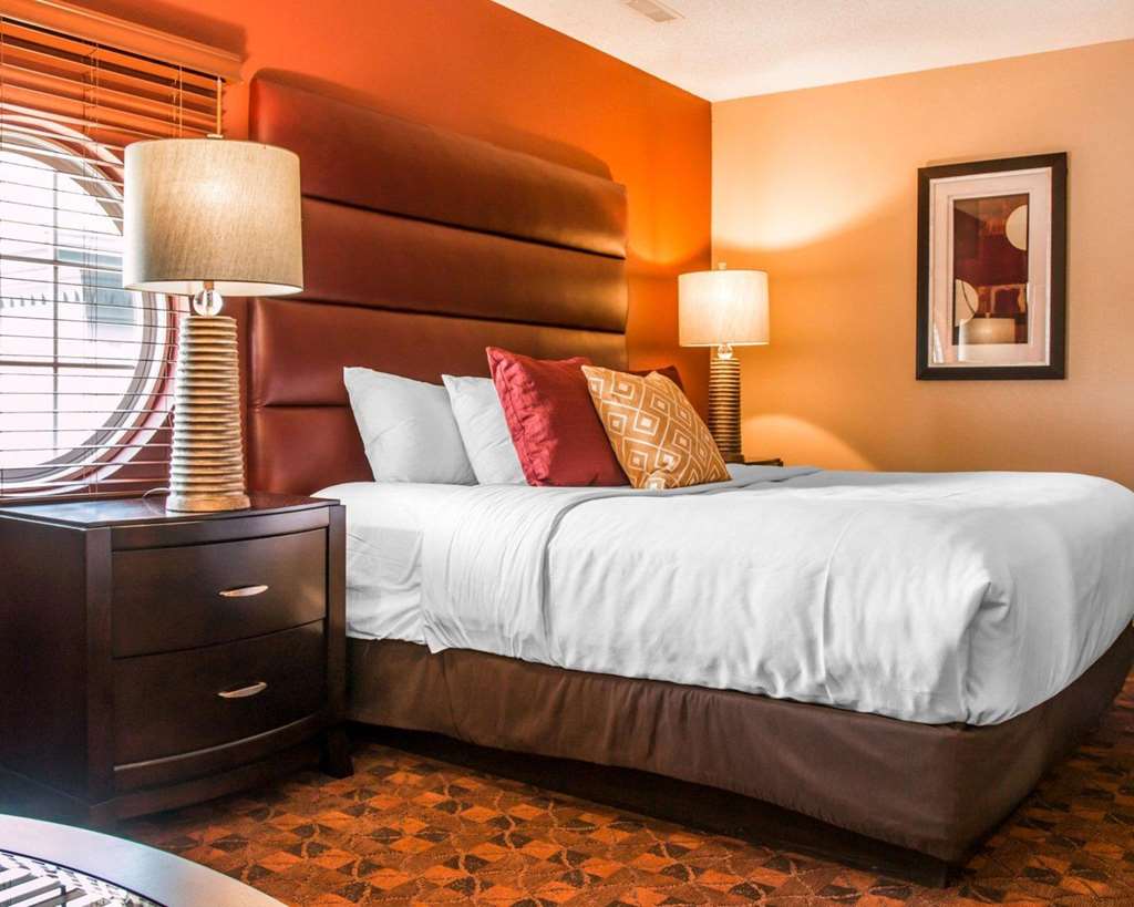 Comfort Inn & Suites and Conference Center - photo 18