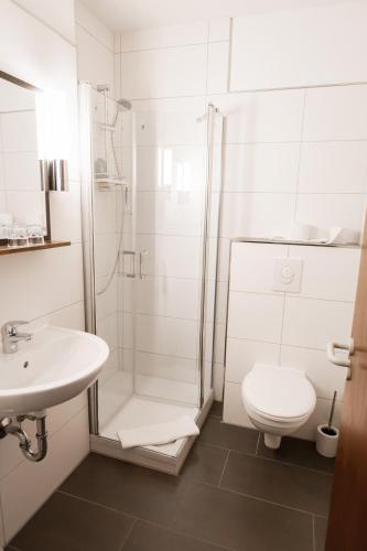 Hotel Restaurant Zum Schwalbennest — Alsfeld — photo 4