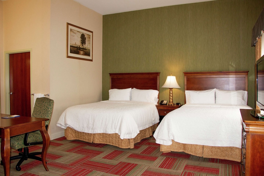 Hampton Inn & Suites Roswell - photo 6