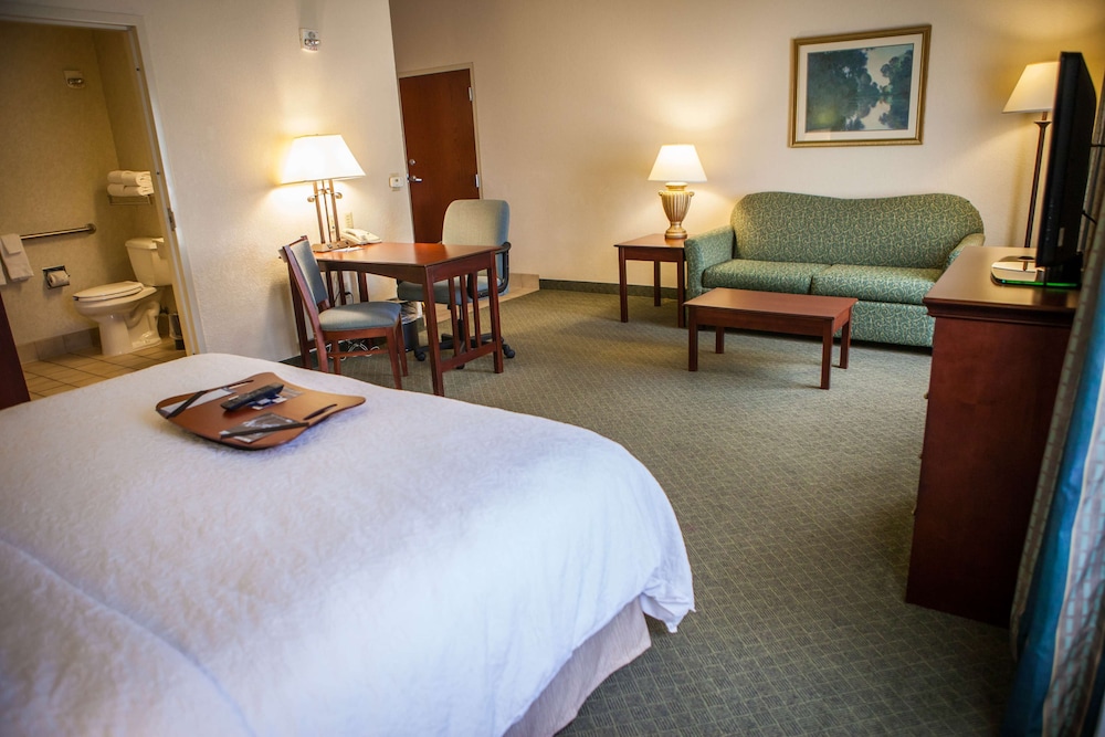 Hampton Inn & Suites Springfield Southwest - photo 22