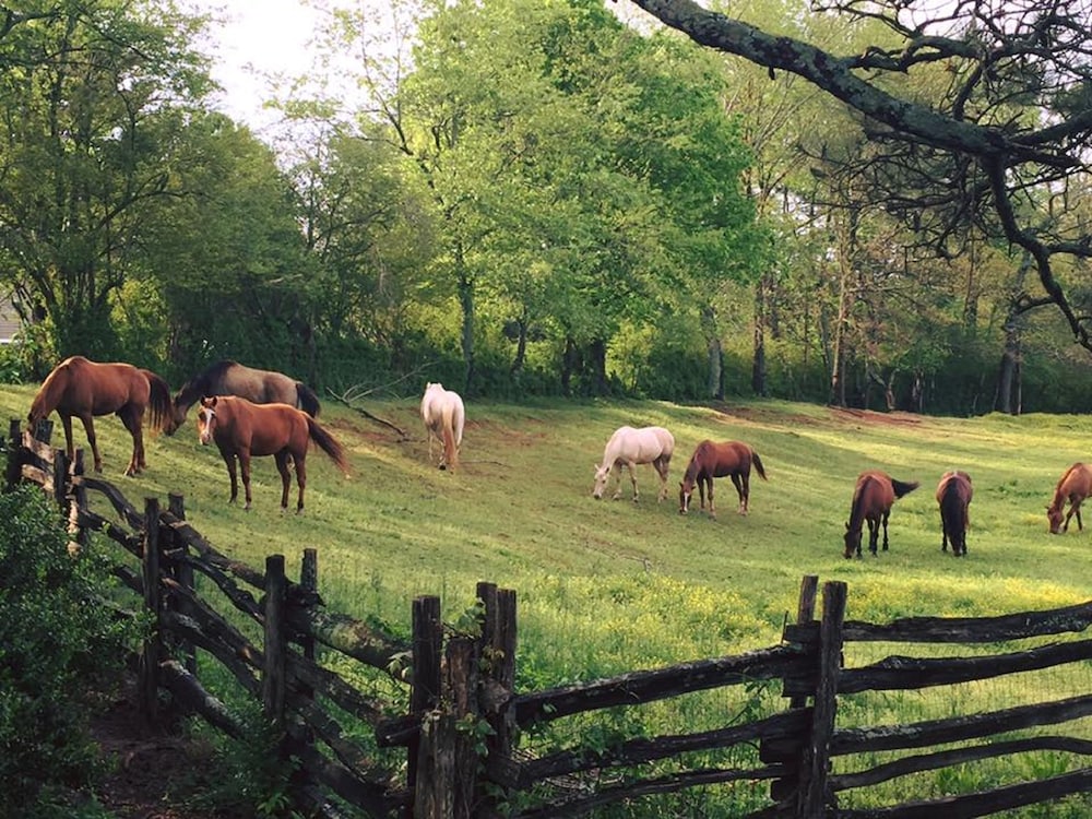 Seventy four Ranch - photo 39
