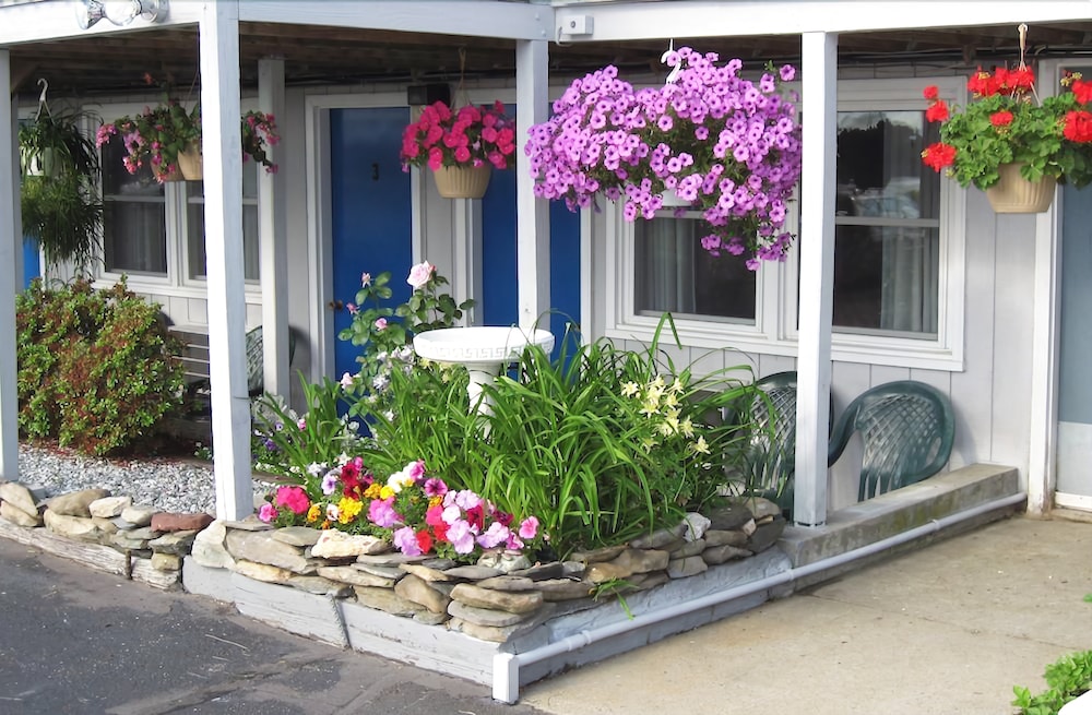 Sea Whale Motel - photo 20