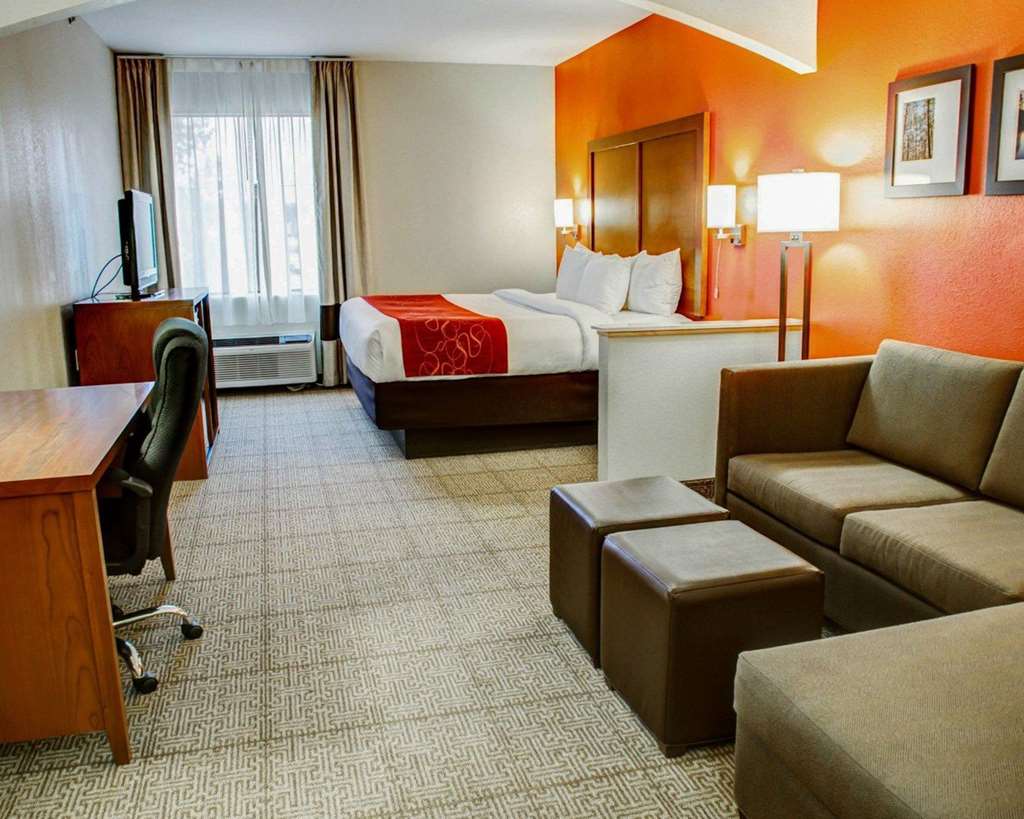 Comfort Suites Tyler South - photo 10