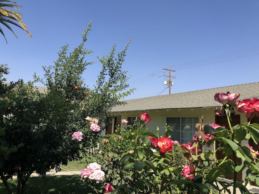 99 Palms Inn & Suites - photo 44