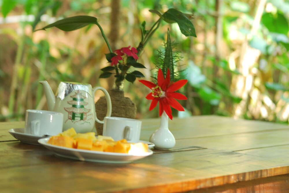 Green Spaces Munnar - carbon neutral hotel in Munnar