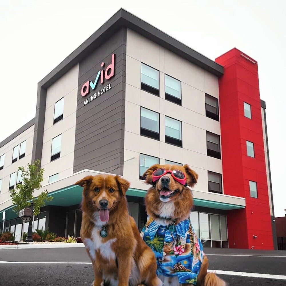 avid hotel Austin NW Lakeline by IHG - photo 56