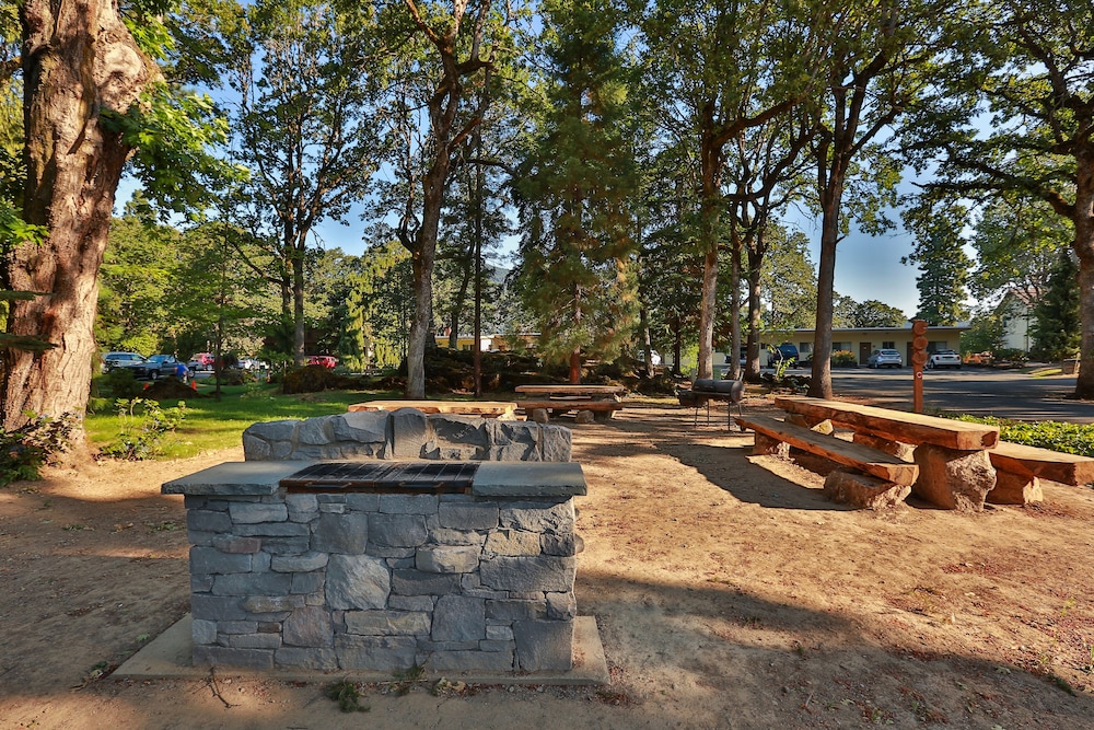 Westcliff Lodge - photo 38