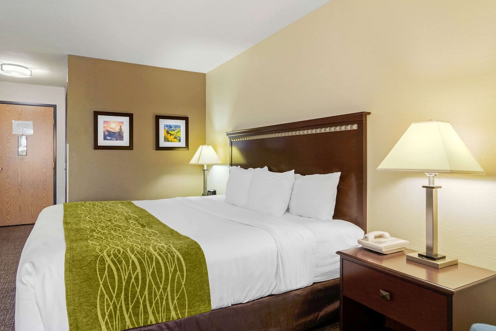 Comfort Inn & Suites Greeley - photo 30