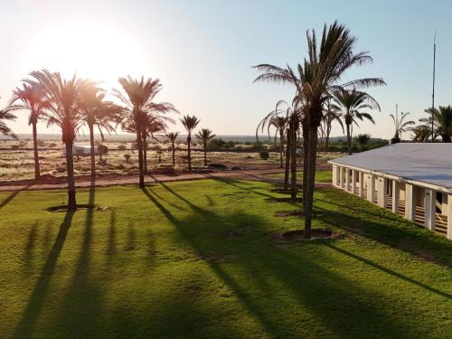 Flying Ostrich Guesthouse & Palmrest Farmstall — 4-Star Luxury Hotel in Mariental, Namibia